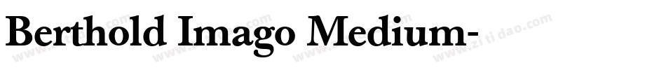 Berthold Imago Medium字体转换